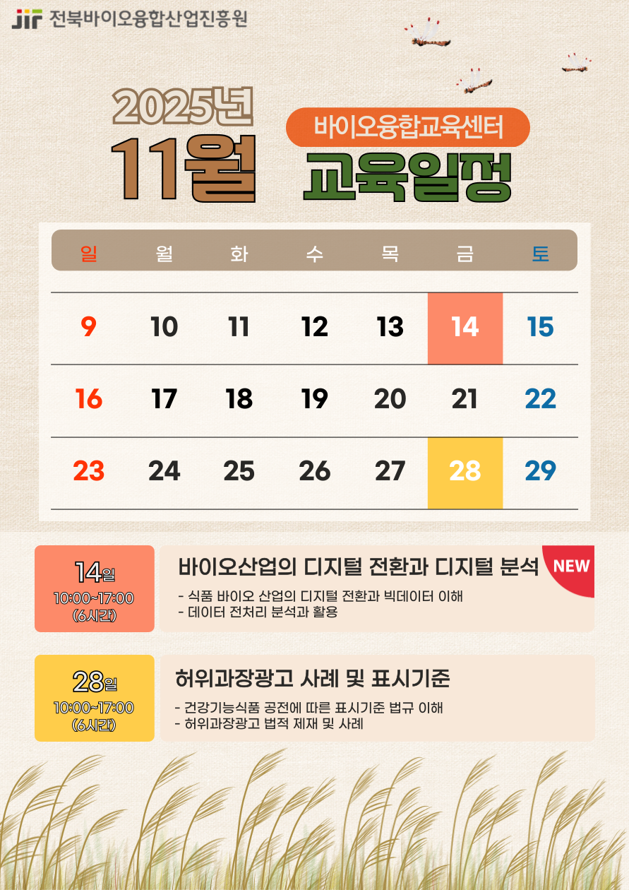 25년 11월 교육일정